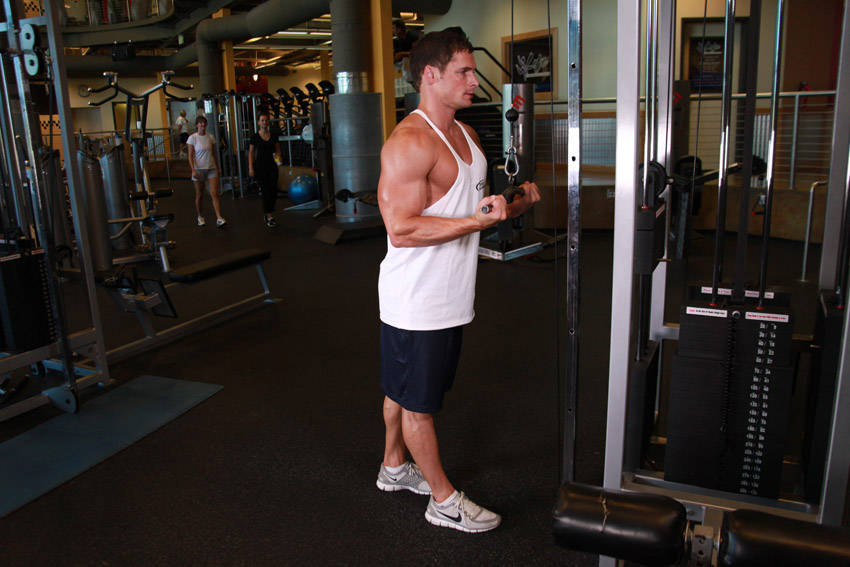 Reverse Grip Triceps Pushdown — Cable Triceps exercise demonstration