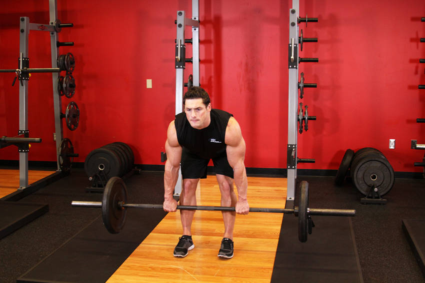 Romanian Deadlift — Barbell Hamstrings exercise demonstration
