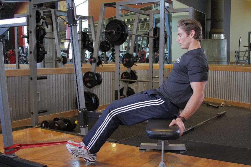 Seated Band Hamstring Curl — Other Hamstrings exercise demonstration