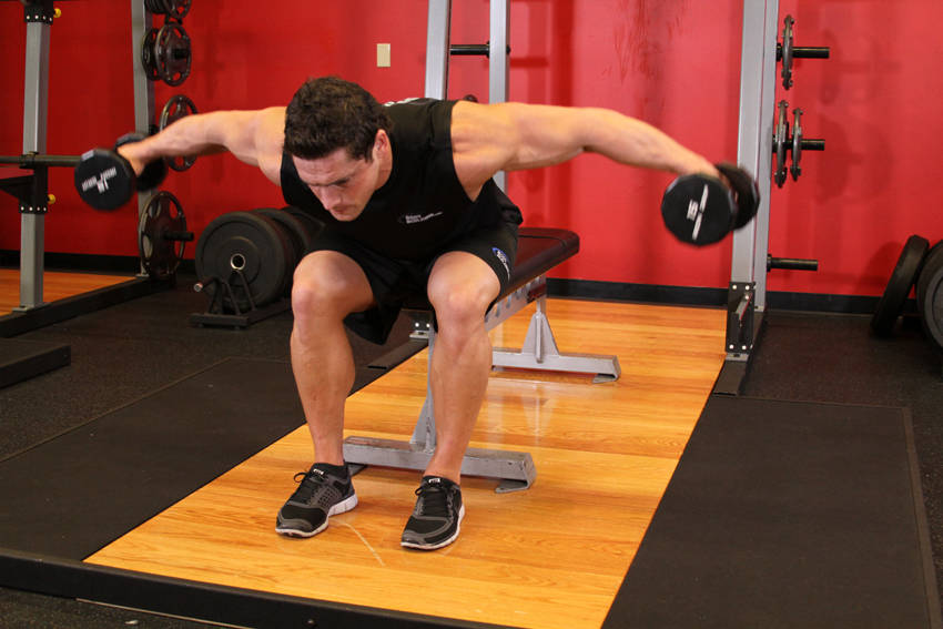 Seated Bent-Over Rear Delt Raise — Dumbbell Shoulders exercise demonstration