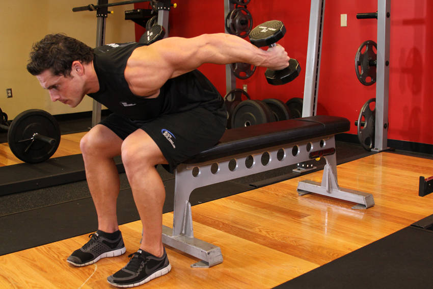 Seated Bent-Over Two-Arm Dumbbell Triceps Extension — Dumbbell Triceps exercise demonstration