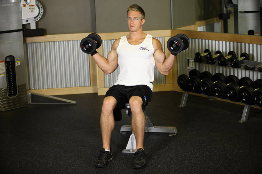 Seated Dumbbell Inner Biceps Curl — Dumbbell Biceps exercise demonstration