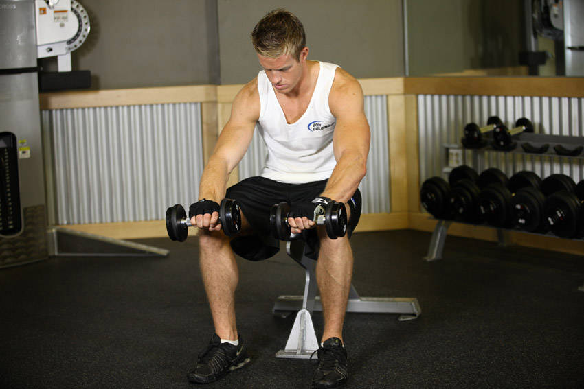 Seated Dumbbell Palms-Down Wrist Curl — Dumbbell Forearms exercise demonstration