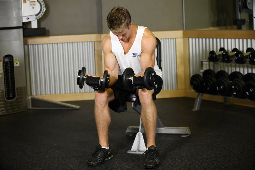 Seated Dumbbell Palms-Up Wrist Curl — Dumbbell Forearms exercise demonstration