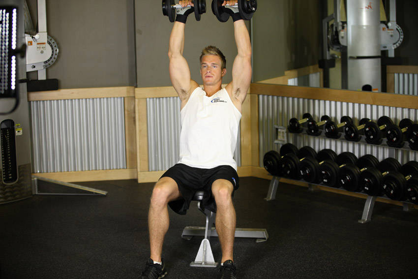 Seated Dumbbell Press — Dumbbell Shoulders exercise demonstration