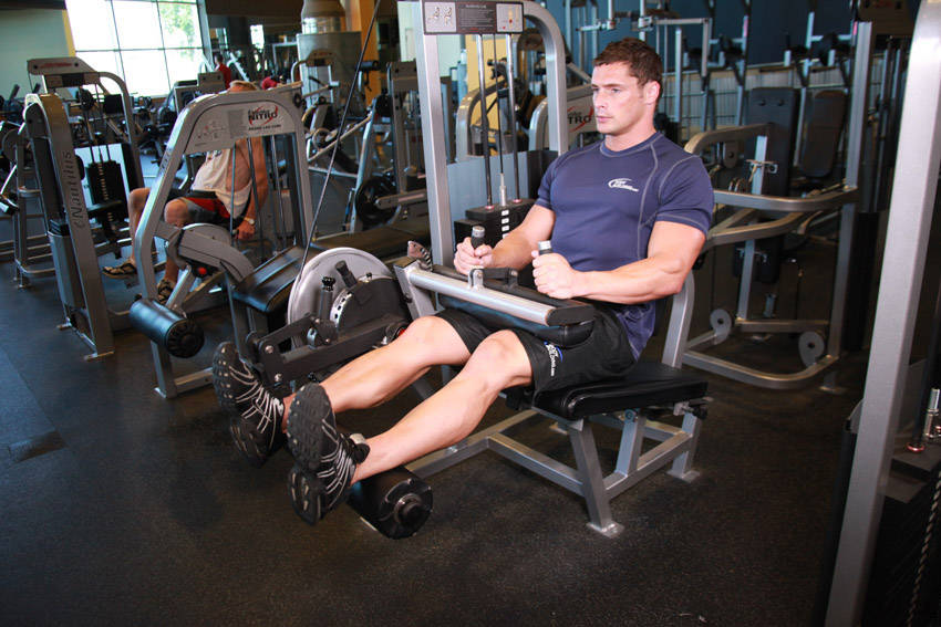 Seated Leg Curl — Machine Hamstrings exercise demonstration