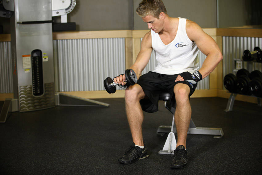 Seated One-Arm Dumbbell Palms-Down Wrist Curl — Dumbbell Forearms exercise demonstration