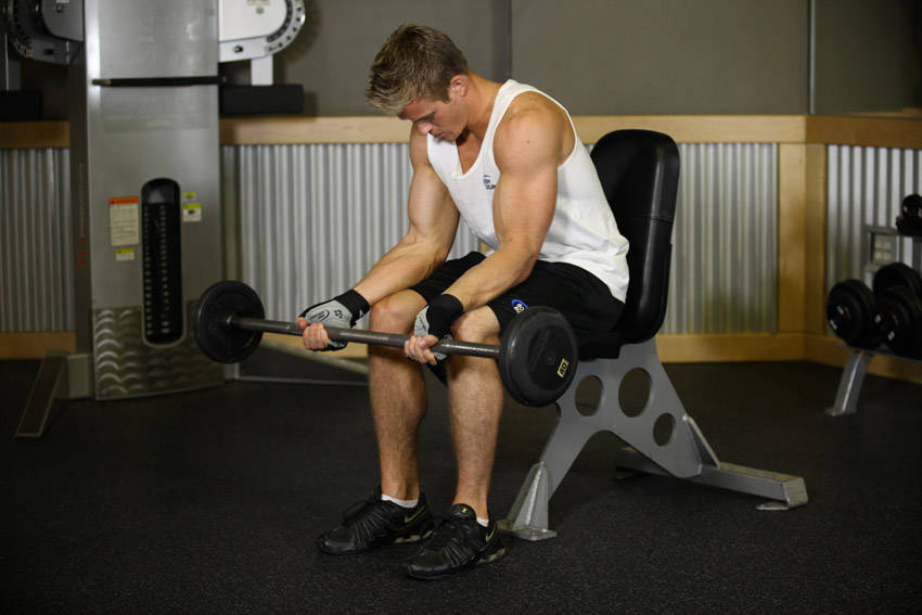 Seated Palm-Up Barbell Wrist Curl — Barbell Forearms exercise demonstration