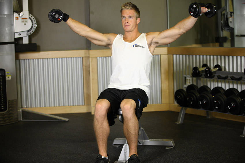 Seated Side Lateral Raise