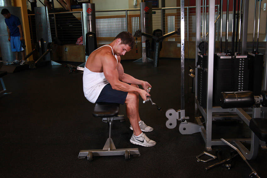 Seated Two-Arm Palms-Up Low-Pulley Wrist Curl — Cable Forearms exercise demonstration