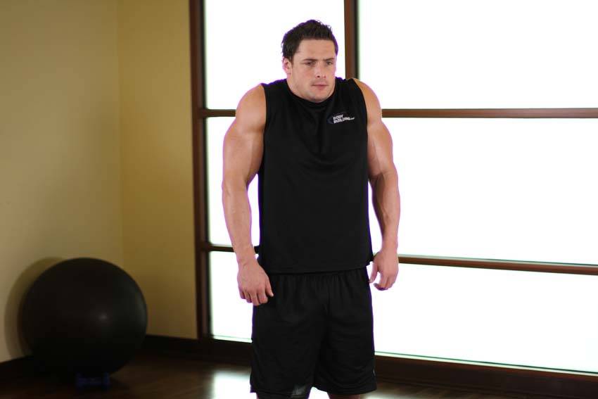 Shoulder Raise — Body Weight Shoulders exercise demonstration