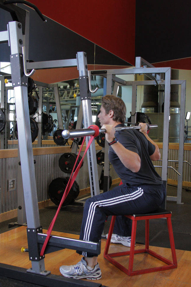 Speed Box Squat — Barbell Quadriceps exercise demonstration