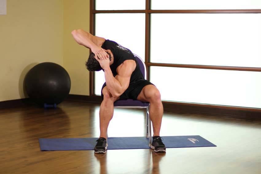Spinal Stretch — Body Weight Middle Back exercise demonstration