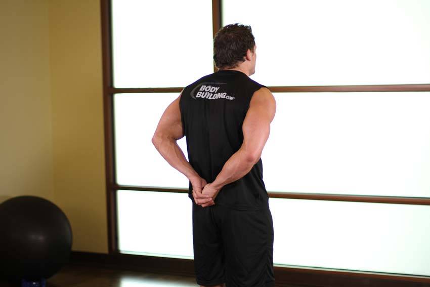 Standing Biceps Stretch — Other Biceps exercise demonstration