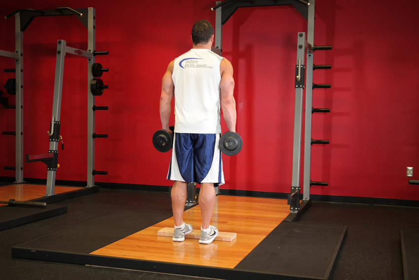 Standing Dumbbell Calf Raise — Dumbbell Calves exercise demonstration