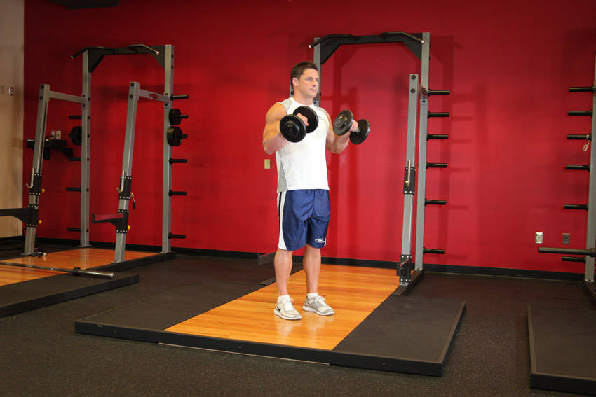 Standing Dumbbell Reverse Curl — Dumbbell Biceps exercise demonstration