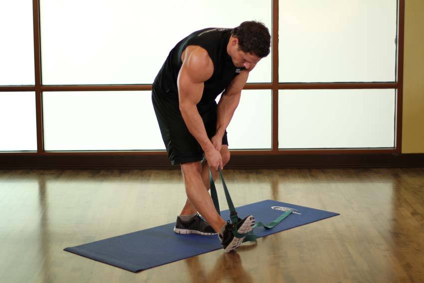 Standing Hamstring and Calf Stretch — Other Hamstrings exercise demonstration