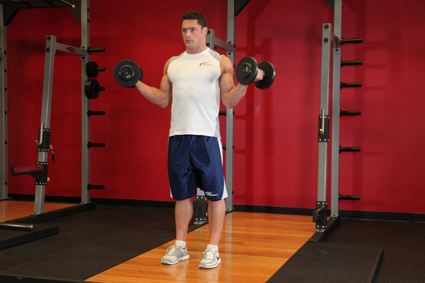 Standing Inner-Biceps Curl — Dumbbell Biceps exercise demonstration