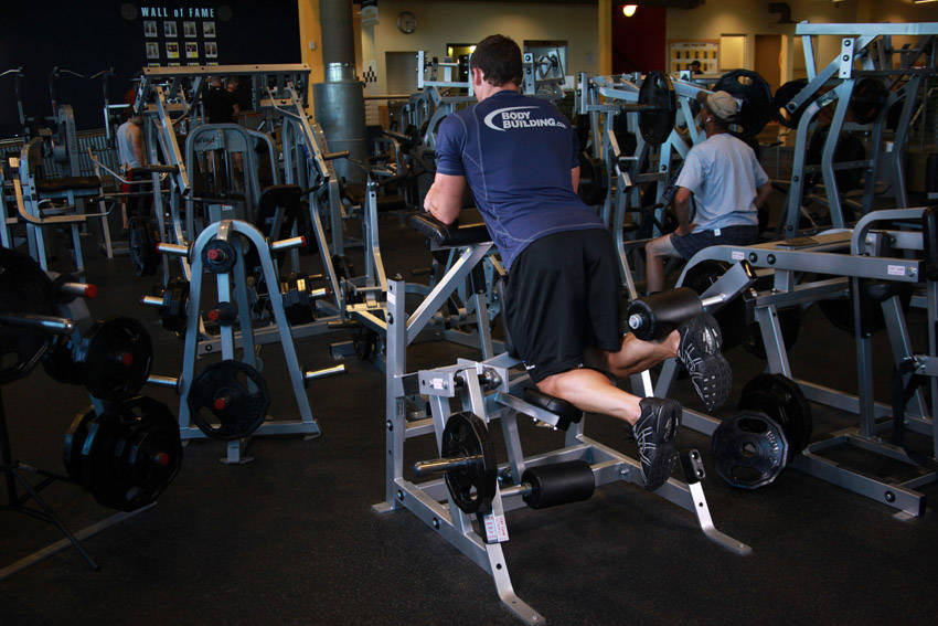 Standing Leg Curl