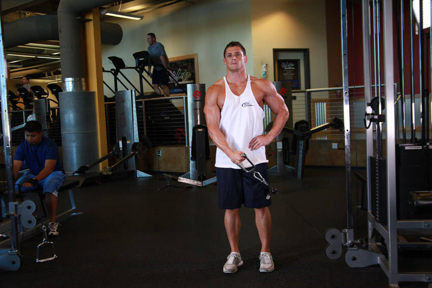 Standing Low-Pulley Deltoid Raise — Cable Shoulders exercise demonstration