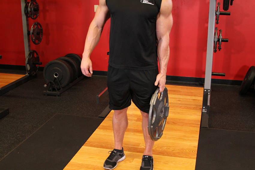 Standing Olympic Plate Hand Squeeze — Other Forearms exercise demonstration