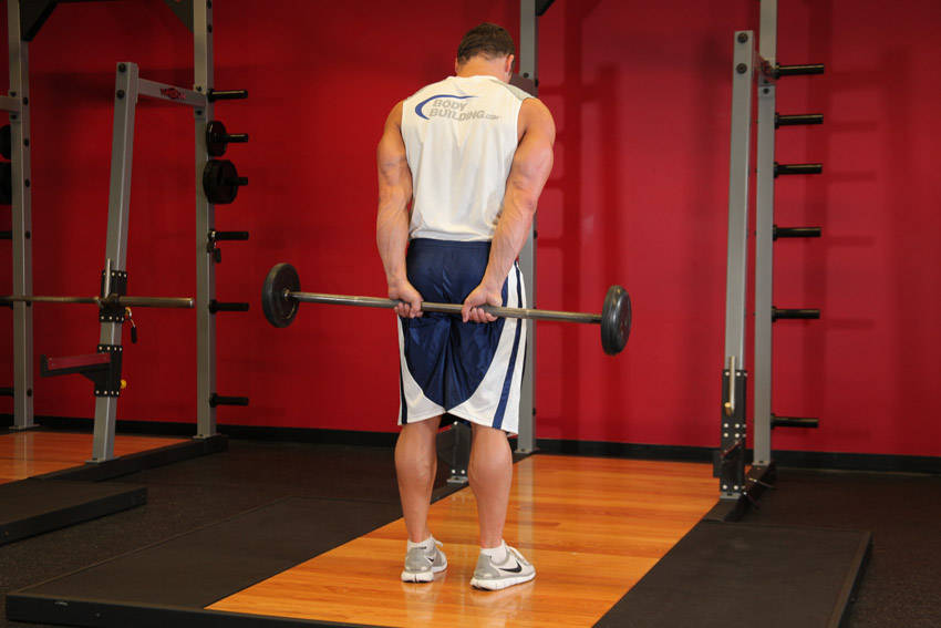 Standing Palms-Up Barbell Behind The Back Wrist Curl — Barbell Forearms exercise demonstration
