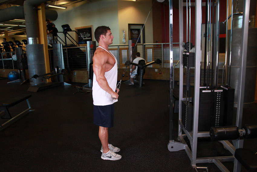 Straight-Arm Pulldown — Cable Lats exercise demonstration