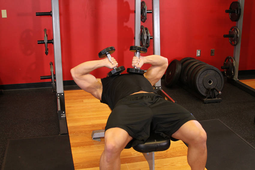 Tate Press — Dumbbell Triceps exercise demonstration