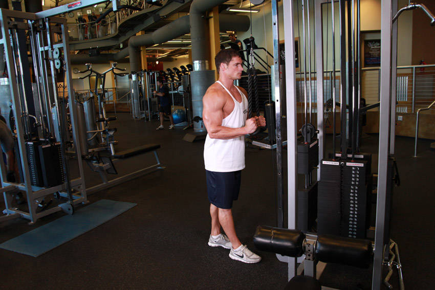 Triceps Pushdown - Rope Attachment — Cable Triceps exercise demonstration