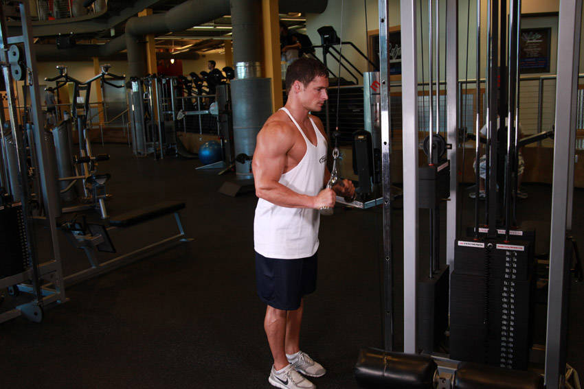 Triceps Pushdown - V-Bar Attachment — Cable Triceps exercise demonstration
