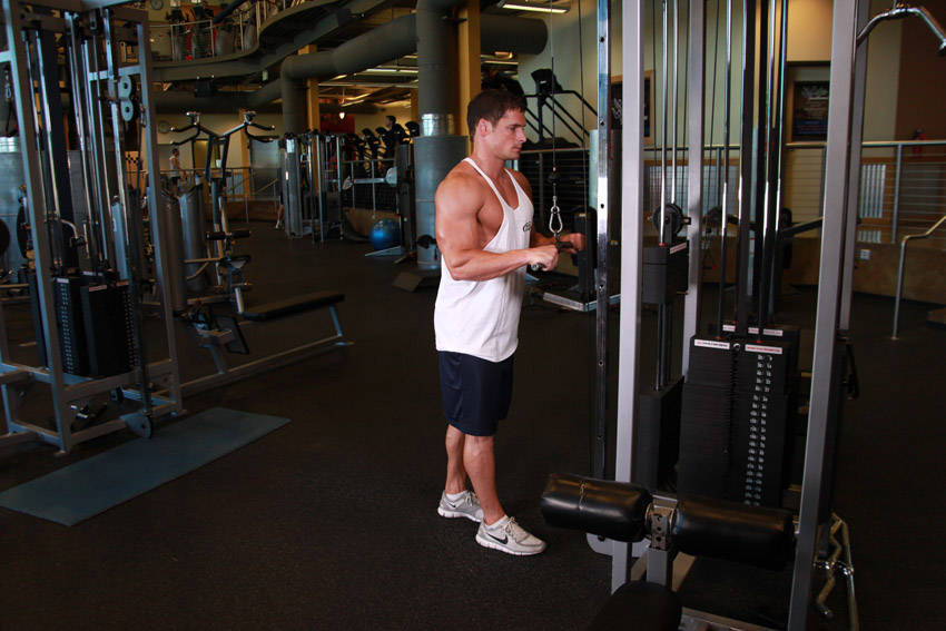 Triceps Pushdown — Cable Triceps exercise demonstration