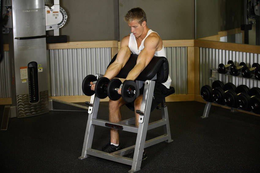 Two-Arm Dumbbell Preacher Curl — Dumbbell Biceps exercise demonstration