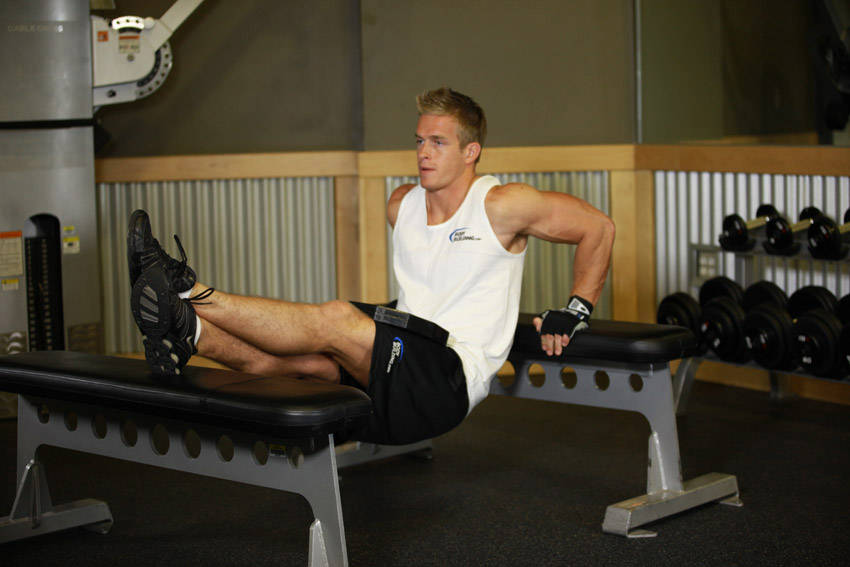 Weighted Bench Dip — Other Triceps exercise demonstration
